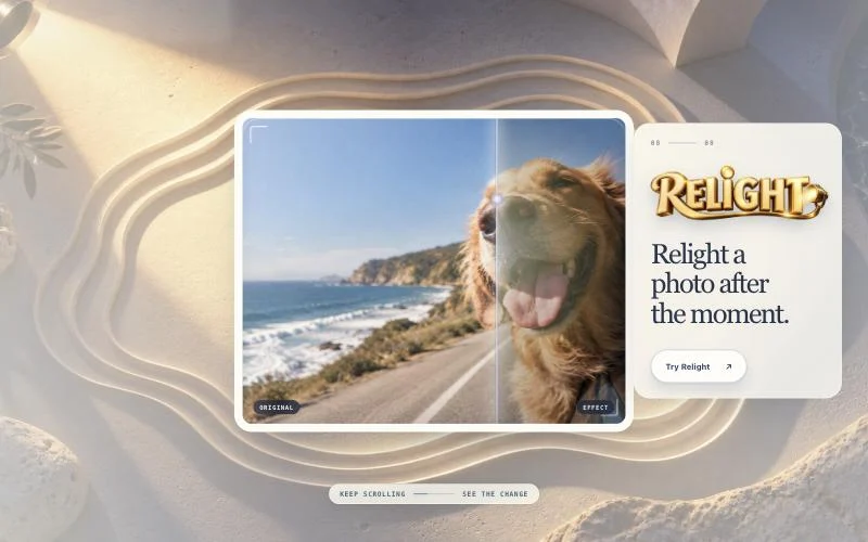 Relight: relight a photo after the moment, shown on a dog on a coast road.